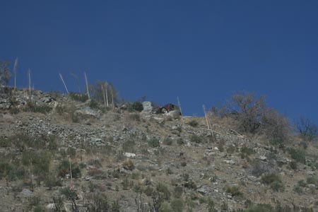 IMG_6238